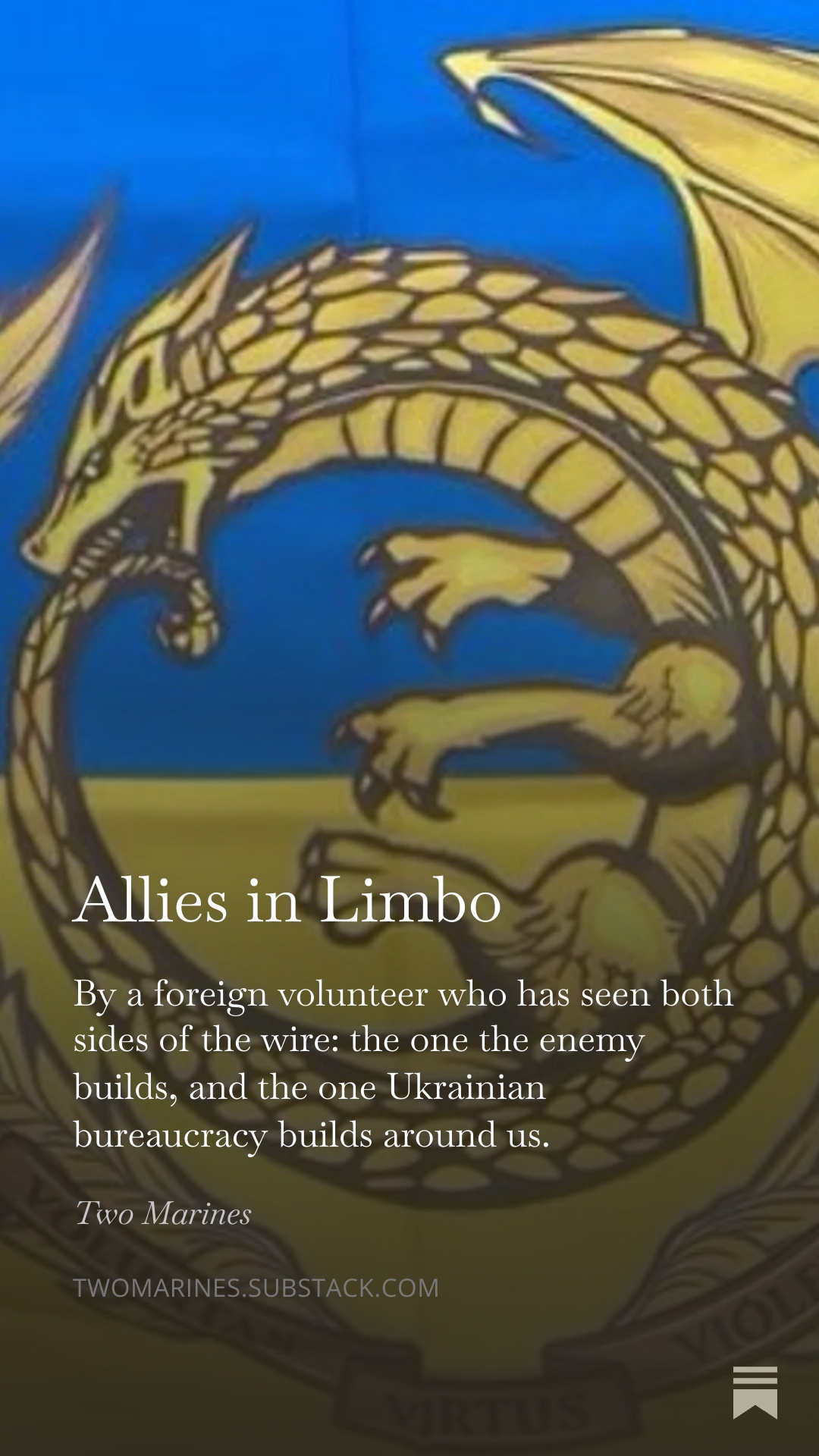 Fixing Bureaucratic Barriers for Foreign Soldiers in Ukrainian Forces