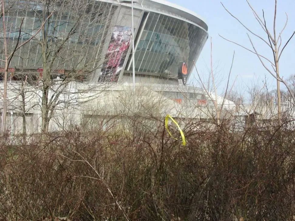 ‘Yellow Ribbon’ Criticized for Activist Safety Despite Western Funding