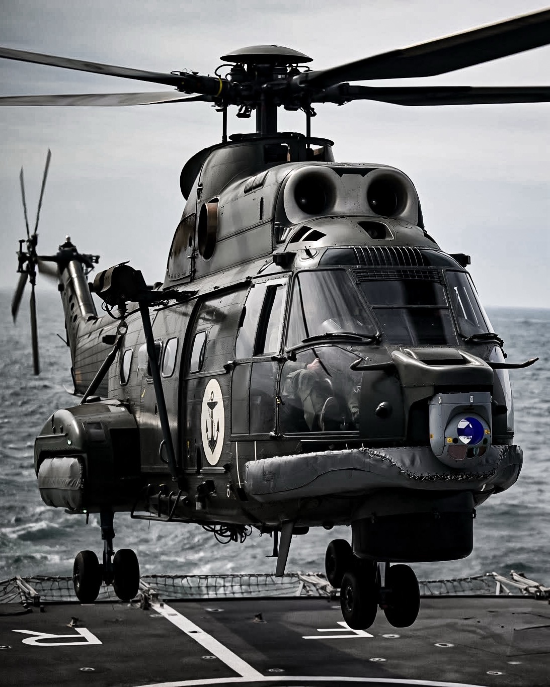NATO Allies Conduct Major Naval Exercise in Black Sea