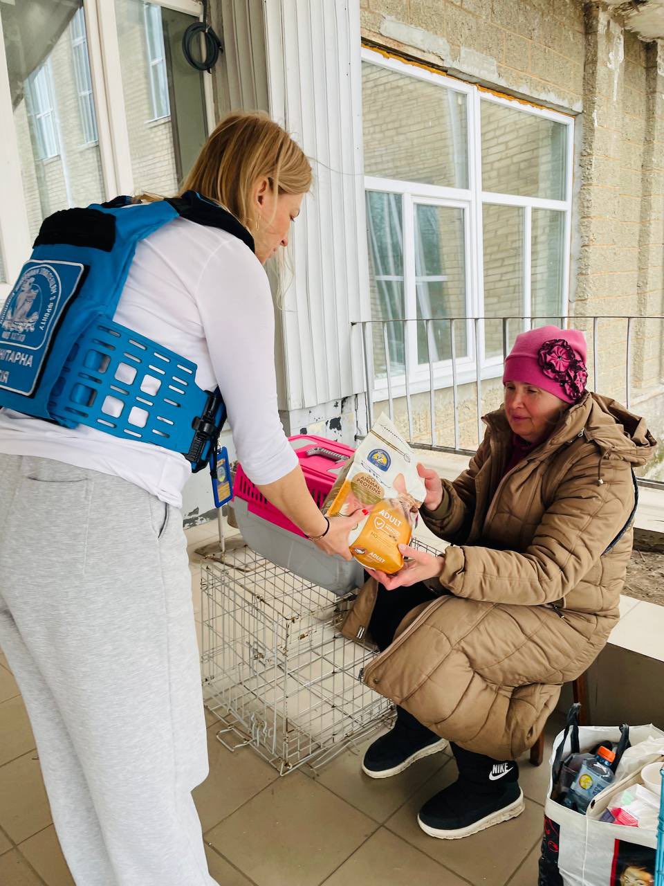 Hachiko Team Supports Evacuation Hub for Families and Pets in Druzhkivka