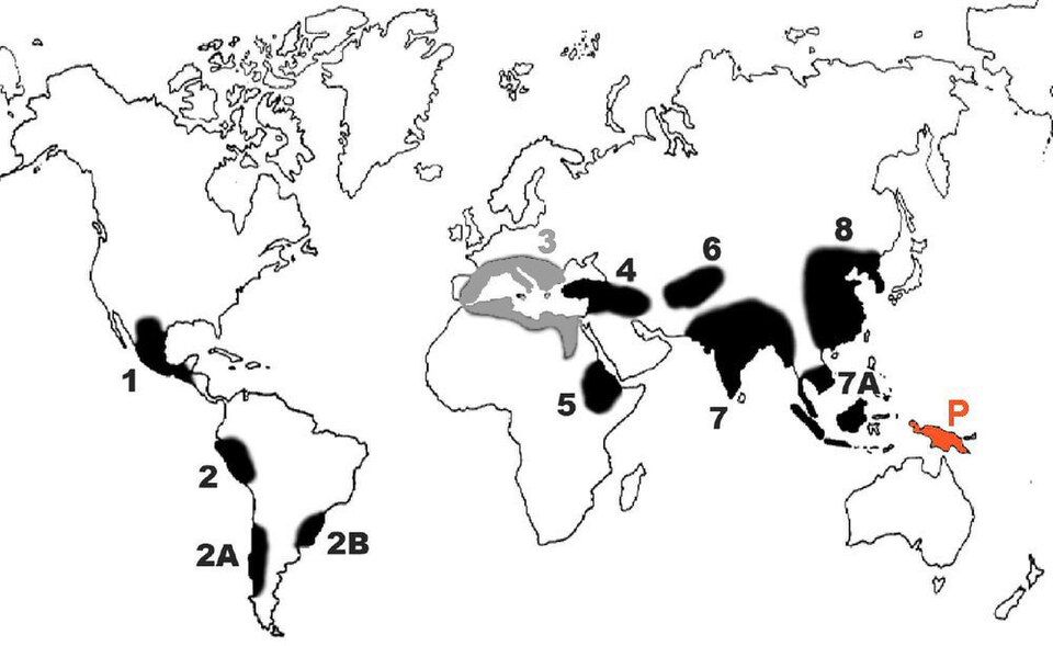 Agriculture Emerged Independently in at Least 11 Sites