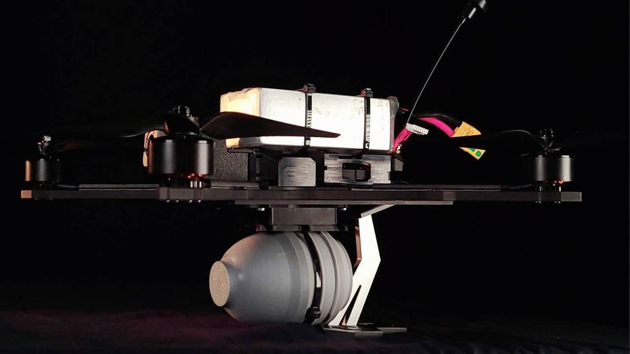 Ukrainian Steel Hornets project shows FPV drone for shooting down Russian UAVs