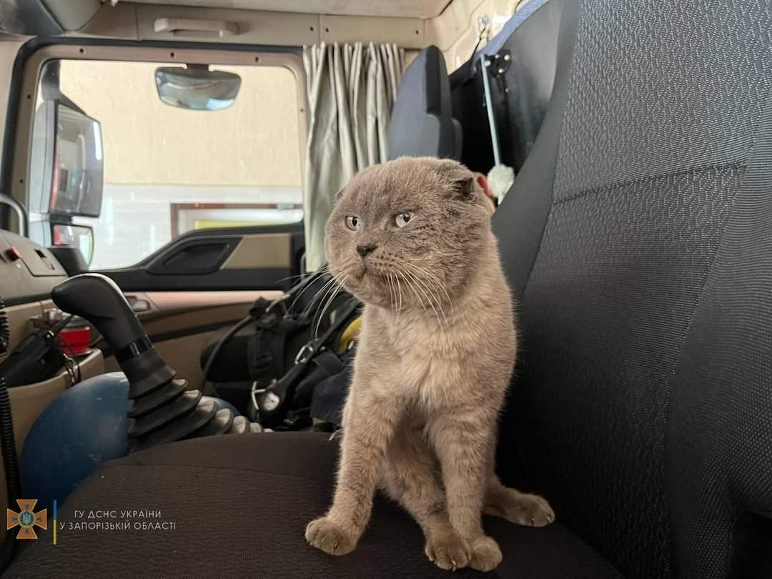 Zero found at front and rescued