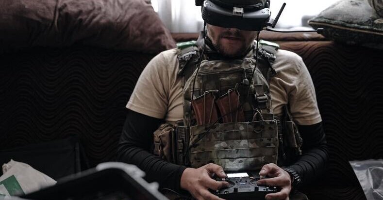 Fox, Ukrainian soldier in the war