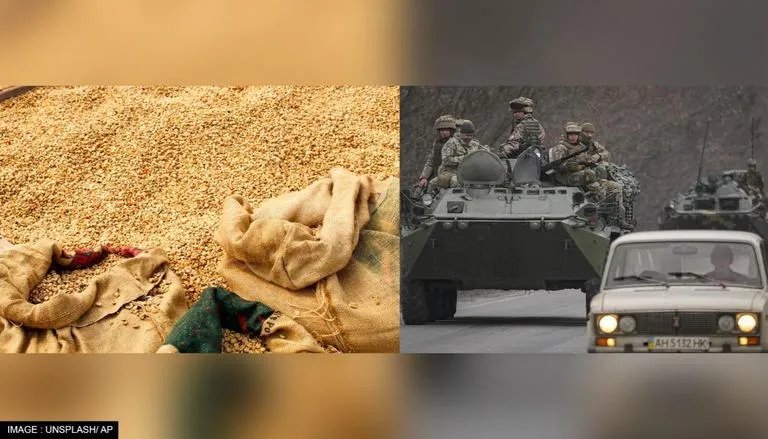 Crimean occupation head admits Russians selling stolen grain