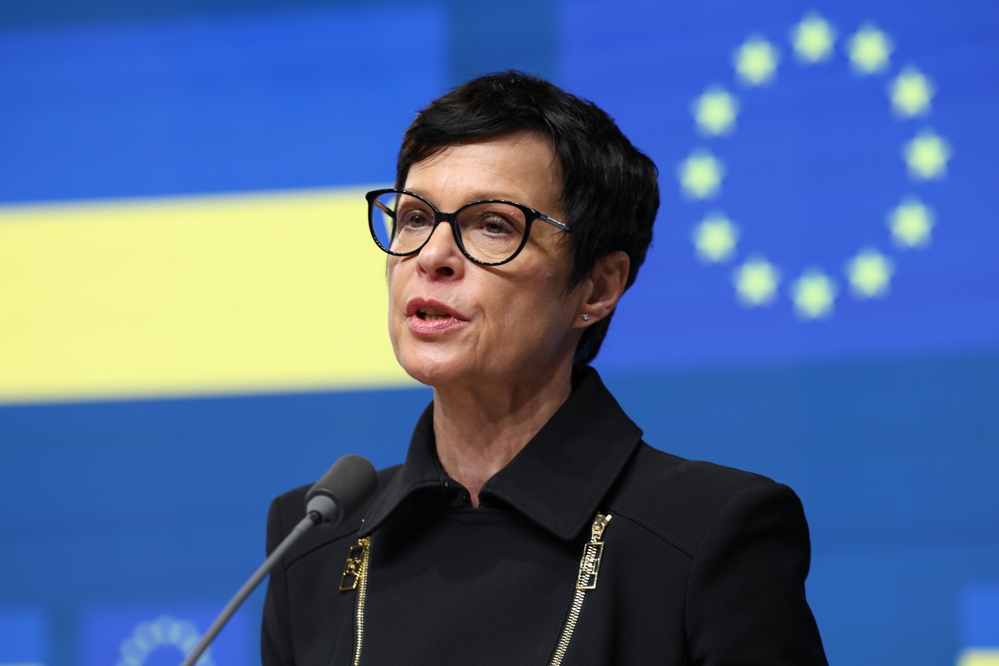EU accession criteria exceptions won’t benefit Ukraine, says Kos