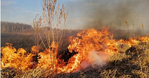 Wildfires triggered by Shahed drone attack in Kyiv region