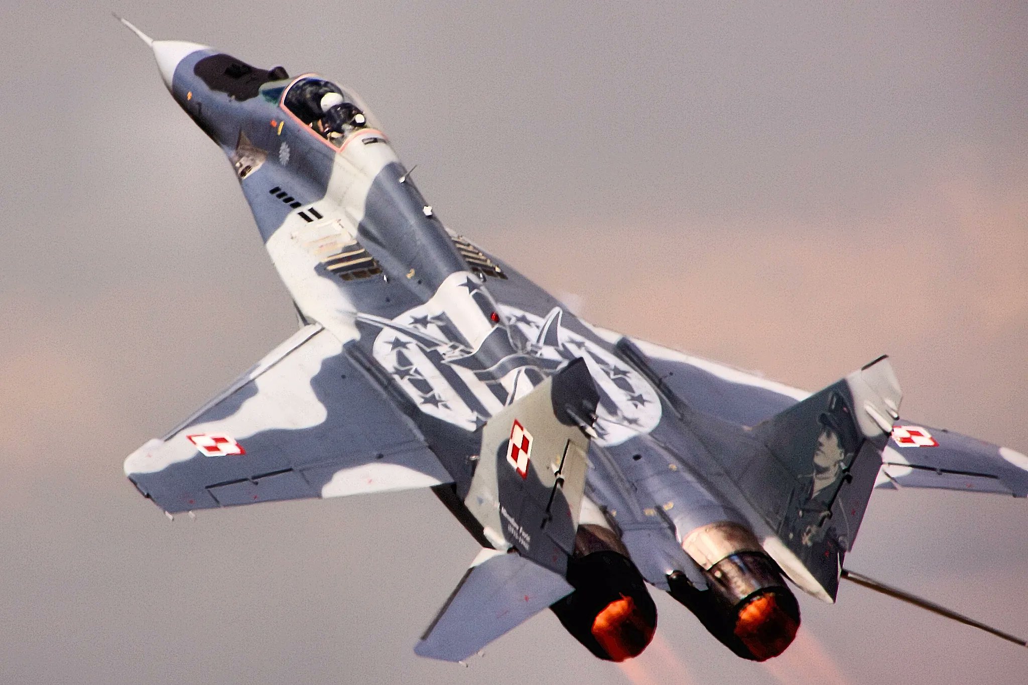 Ukraine’s Aging Fleet and Possible Mig-29 Aid from Poland