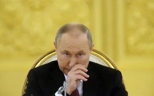 Putin ready for talks with Zelensky