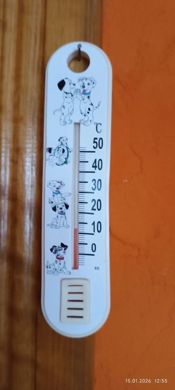 Policing: Temperature drop and potential mortality in Kyiv