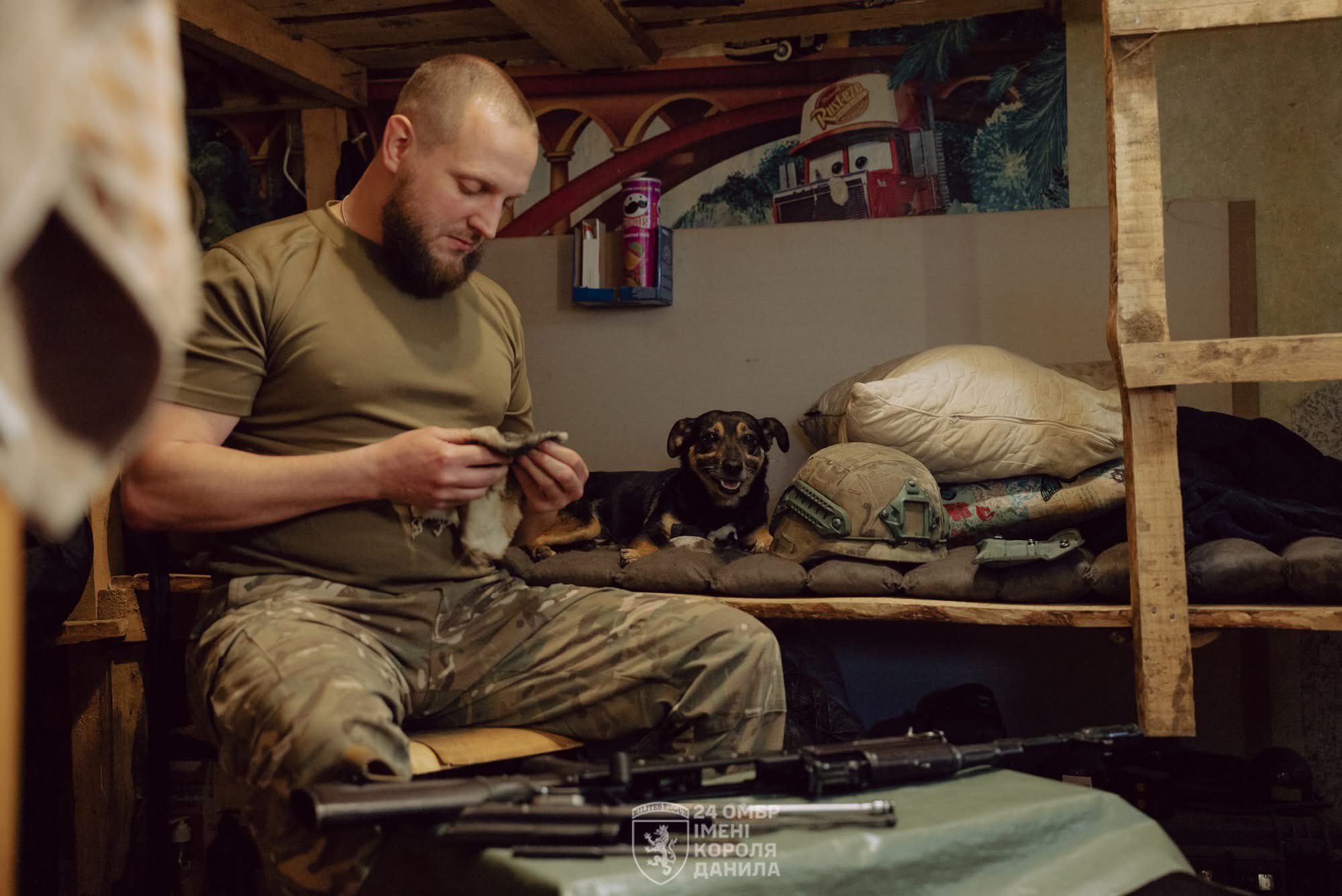 Military advice: clean weapon, feed dog, stand for country