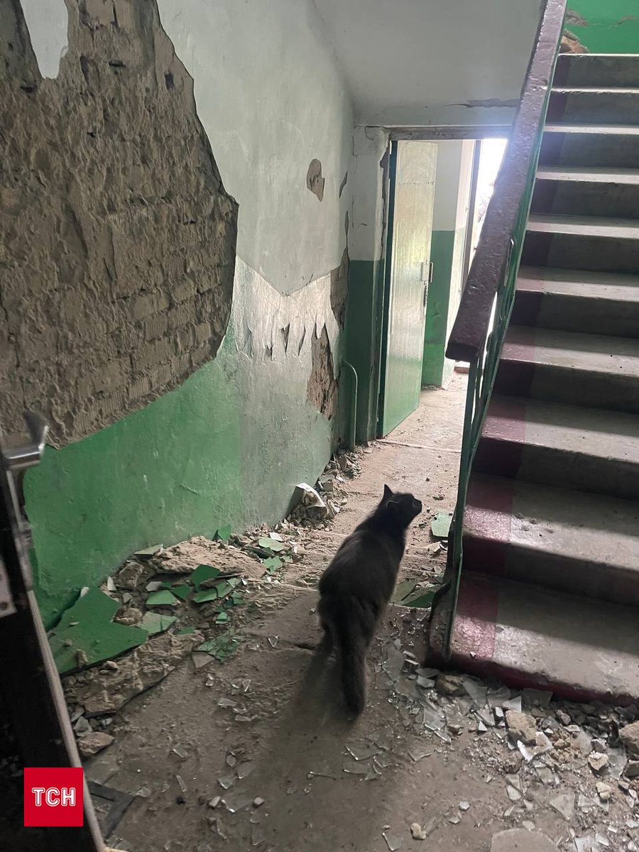 Aftermath of Russian strike on Tsarychanka