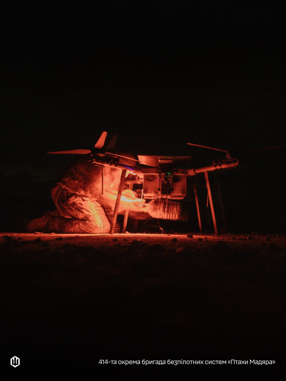 Ready for the Night Hunt