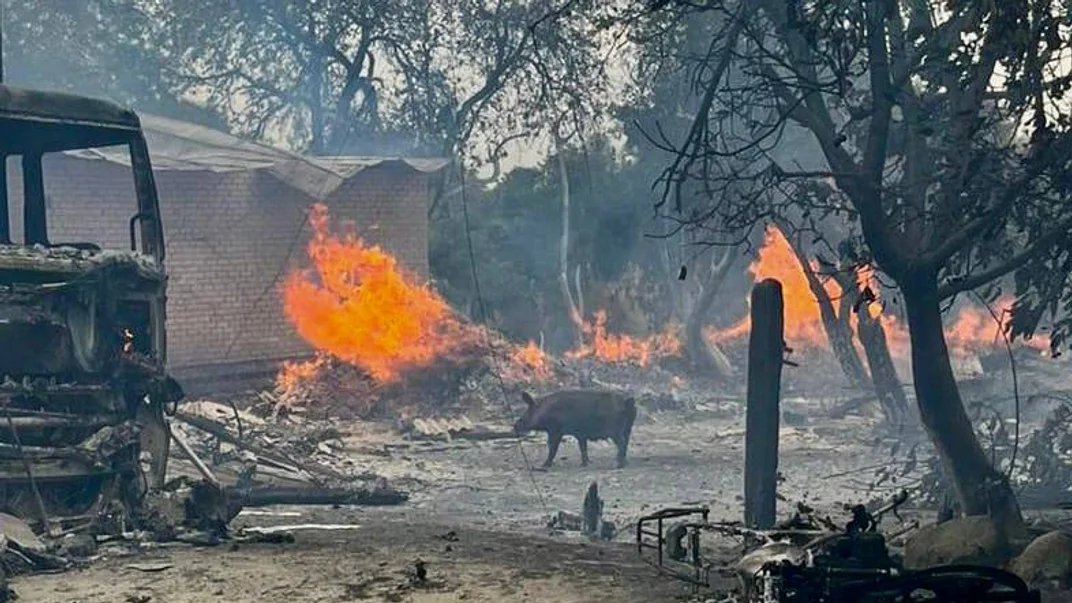 Russian troops attacked Chernihiv region border