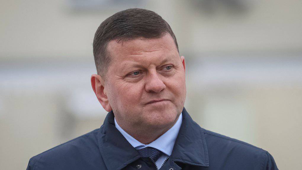 Zaluzhny: 2023 Counteroffensive Failed Due to Lack of Resources