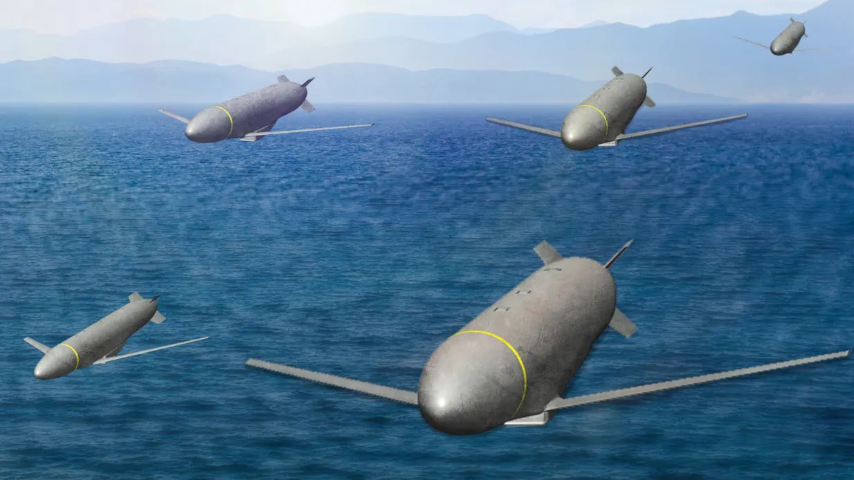 New precise and low-cost ERAM munitions for Ukraine