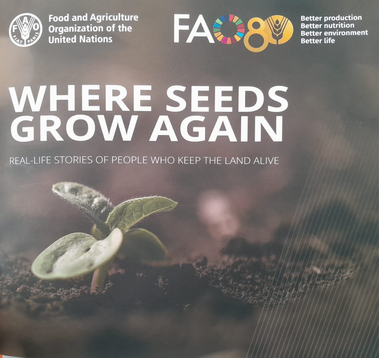 Ukraine resilient amid global food crisis
