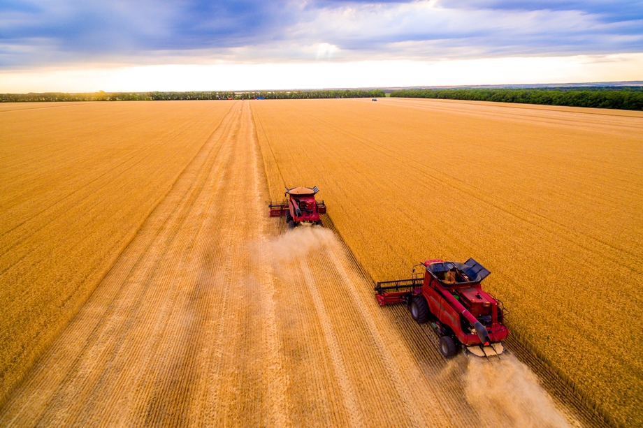 Stoltenberg: Ending Russia’s aggression is the best way to overcome the food crisis