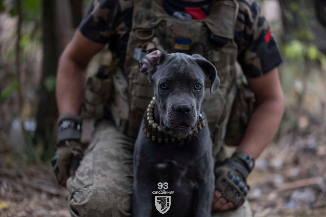 Ready for Battle: 93rd Mechanized Brigade