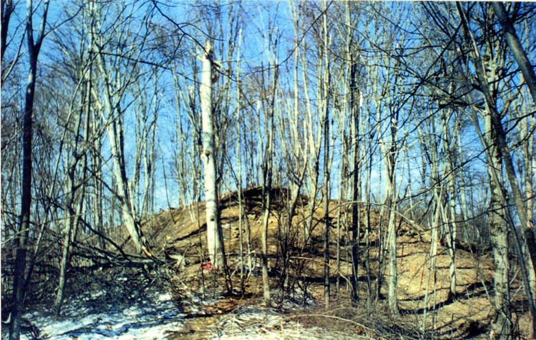 Paratroopers arrive, face Russian patrol on unprepared slope.