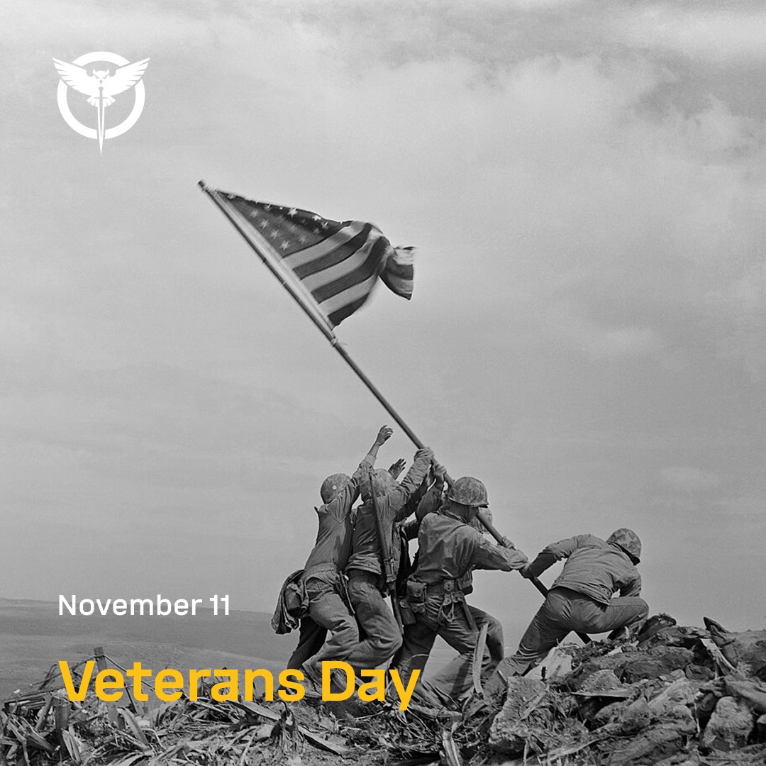 US Celebrates Veterans Day: Honoring Service to Freedom and Defense Against Dictatorship