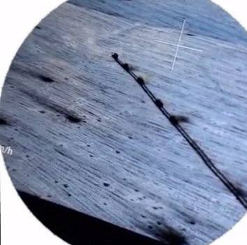 Photo of Ukrainian column breakthrough near Kursk