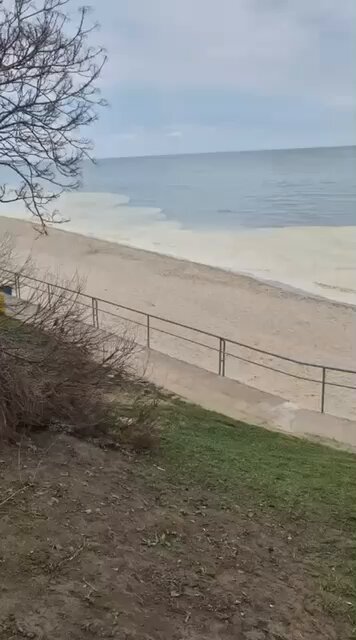 Oil Spill and Trapped Birds After Russian Attack on Chornomorsk