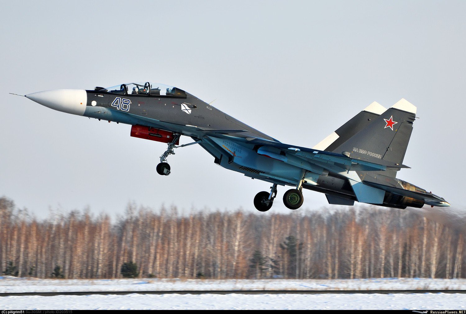 Russian Su-30 shot down by Ukrainian drone