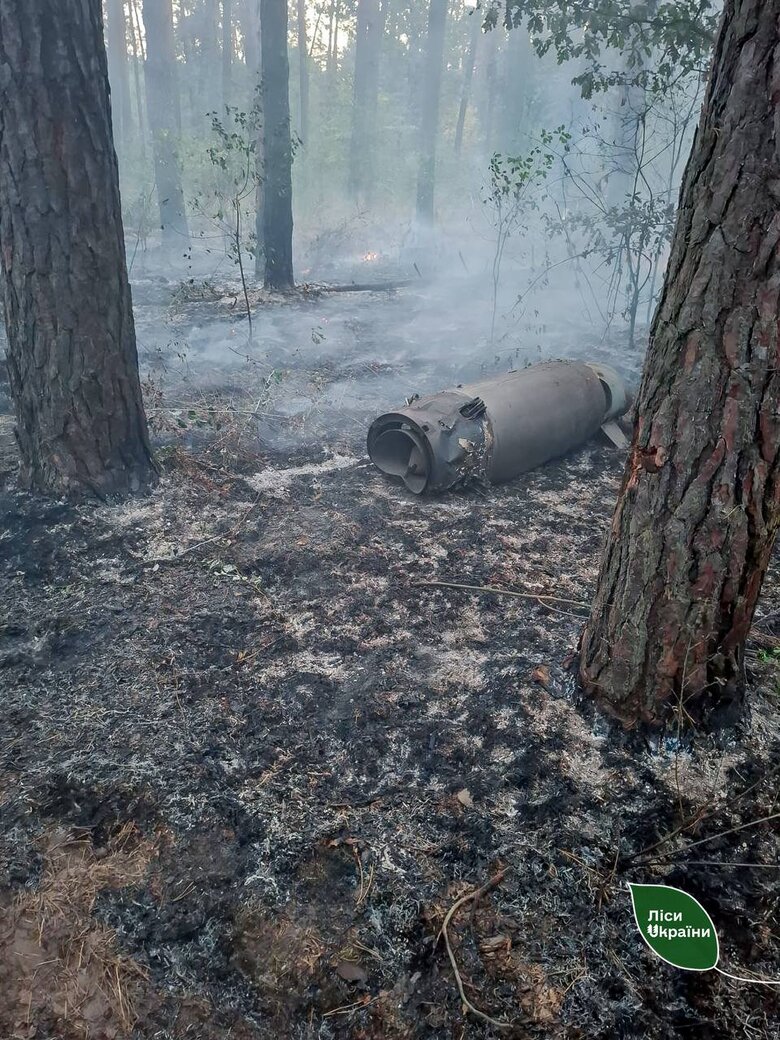 Forest fires after night shelling in Kyiv region