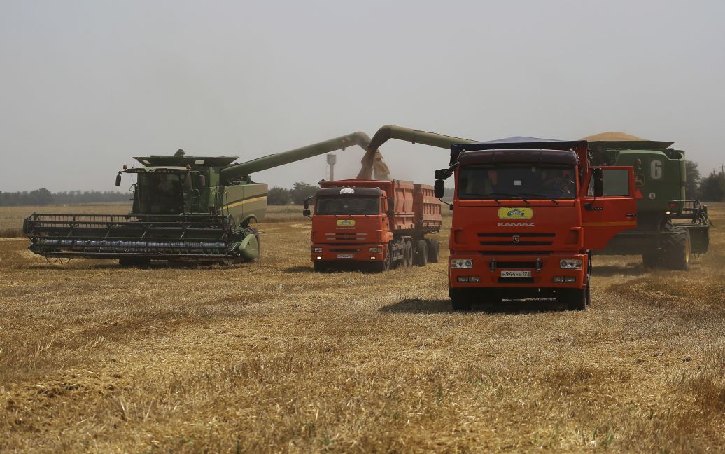 Shmyhal: Ukraine to lack storage for 10-15 million tons of harvest
