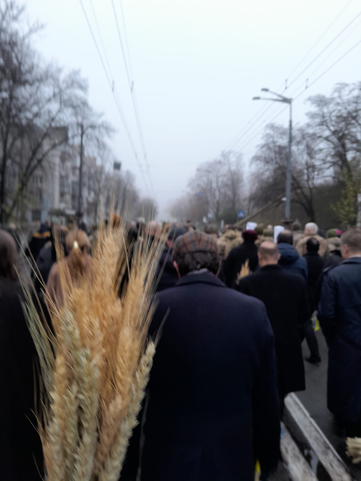 Holodomor Remembrance and Opposition to Russian Aggression