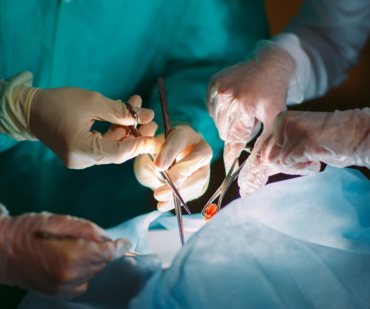 Zelensky signs law banning transplantation of organs of fallen service members