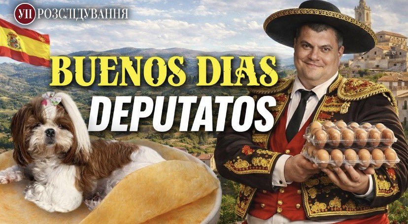Servant of the People MP traveled to Spain where wife bought an apartment