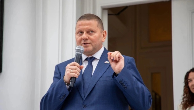 Poll: Zelenskyy would lose to Zaluzhnyi in elections