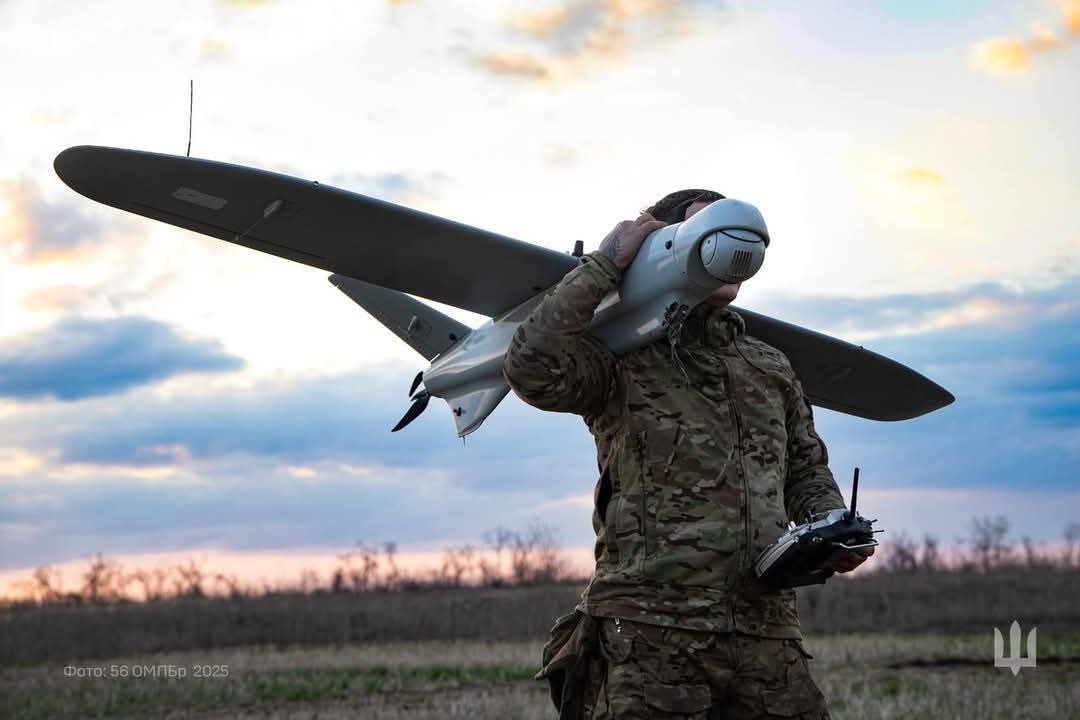 Лелеки в небі України: символ миру та ефективного знищення ворога