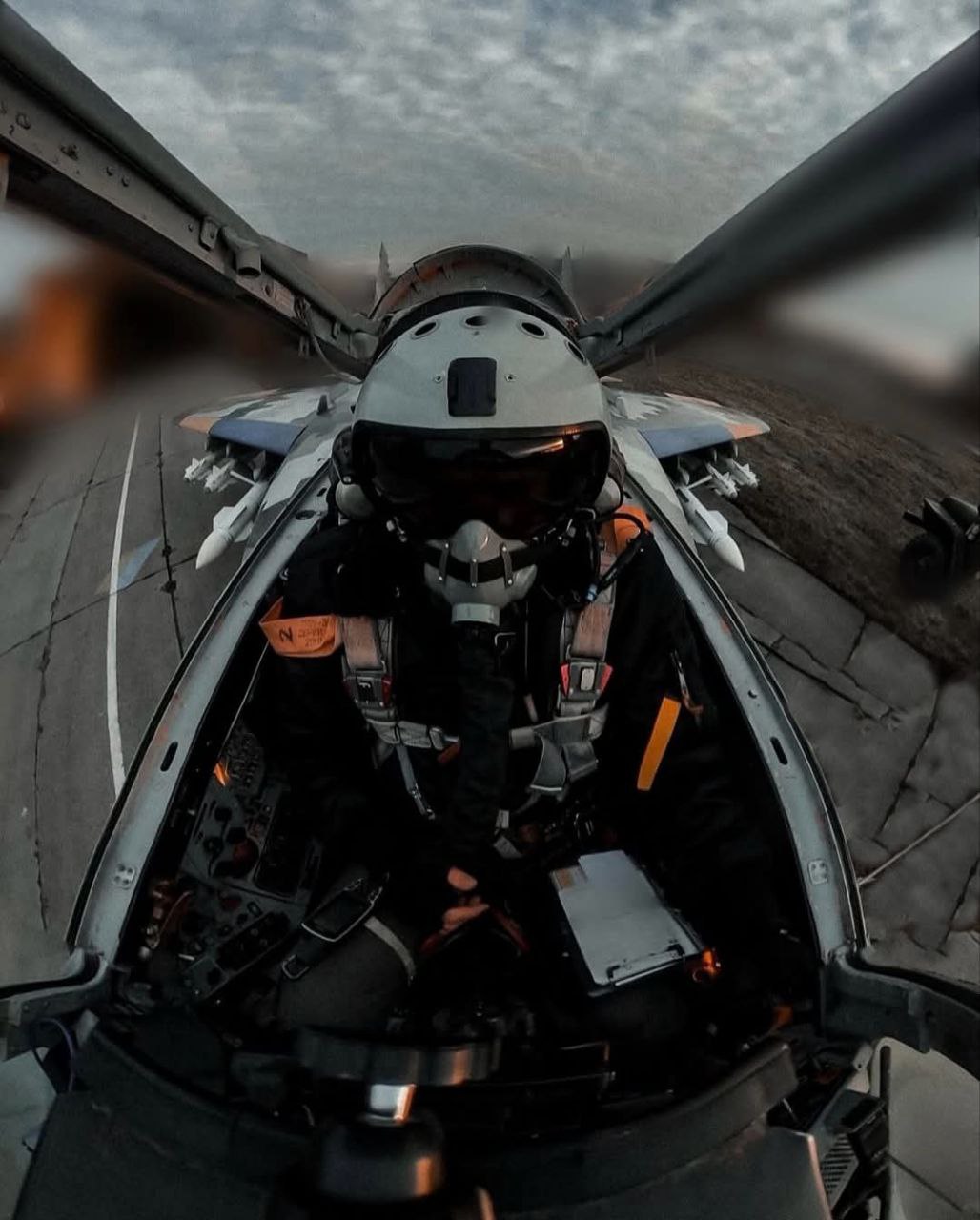 MiG-29 Pilot: Night Air Defense, Day Bombing