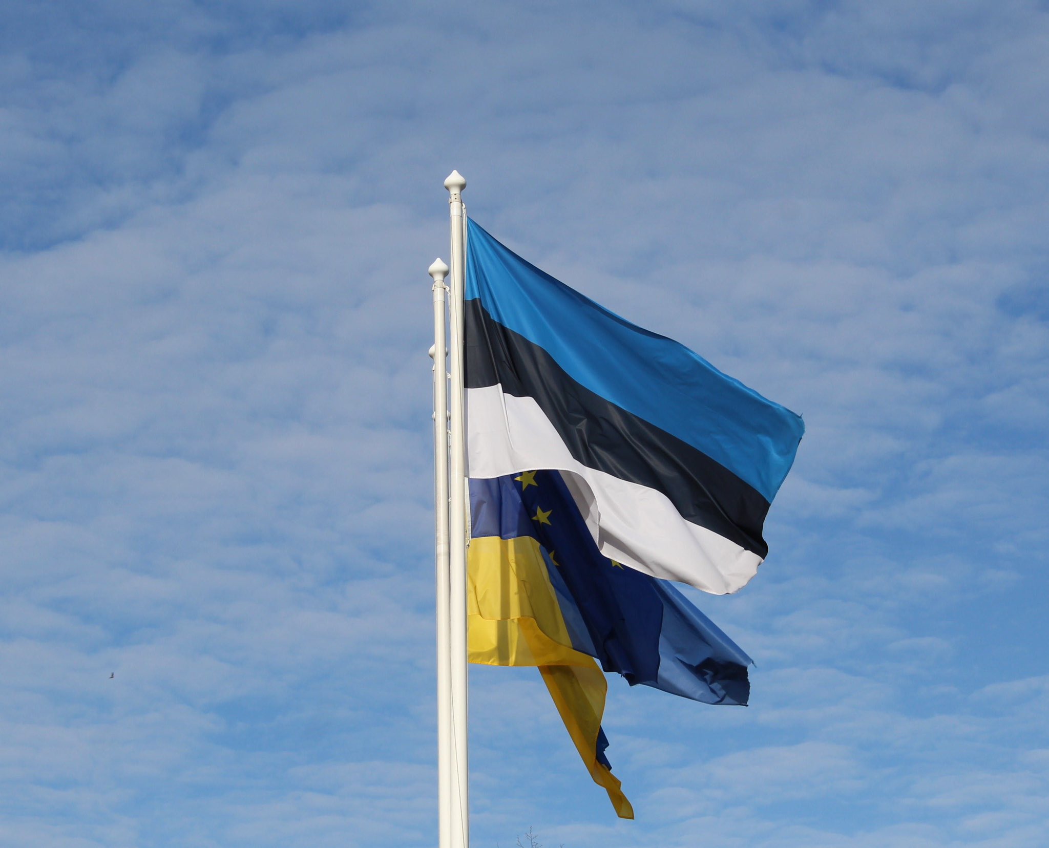 Estonia offers new military aid to Ukraine