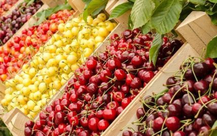 Melitopol farmers gave the occupiers poisoned cherries