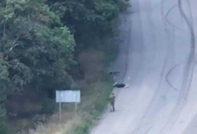 On Pokrovsk direction, occupier shot civilian, war crime investigation opened