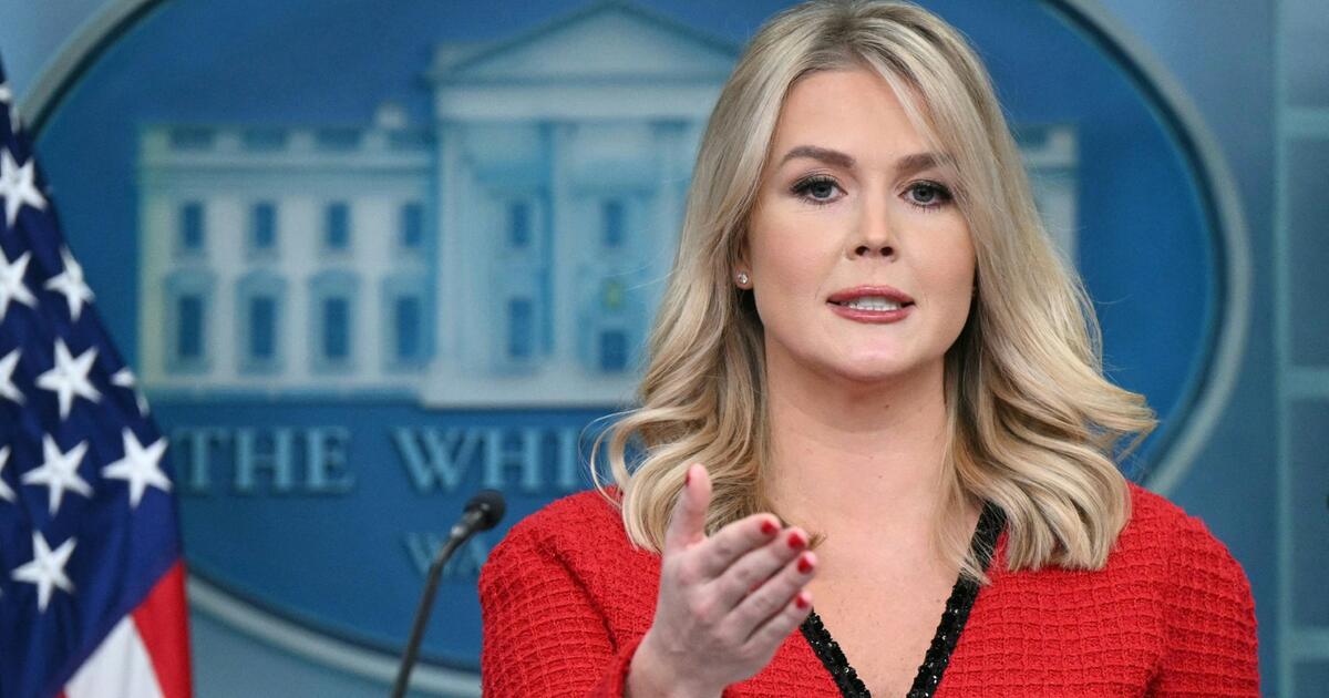 Shooter Targeted Trump and Administration Officials, Says Levitt