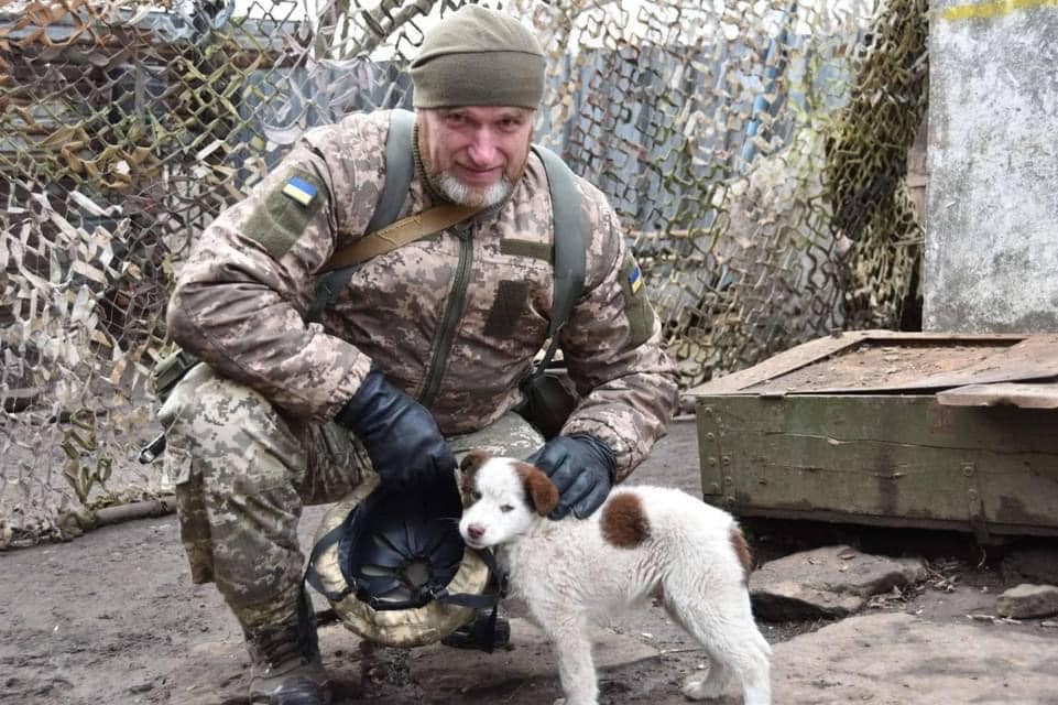 Ukrainian soldiers rescue war-affected animals