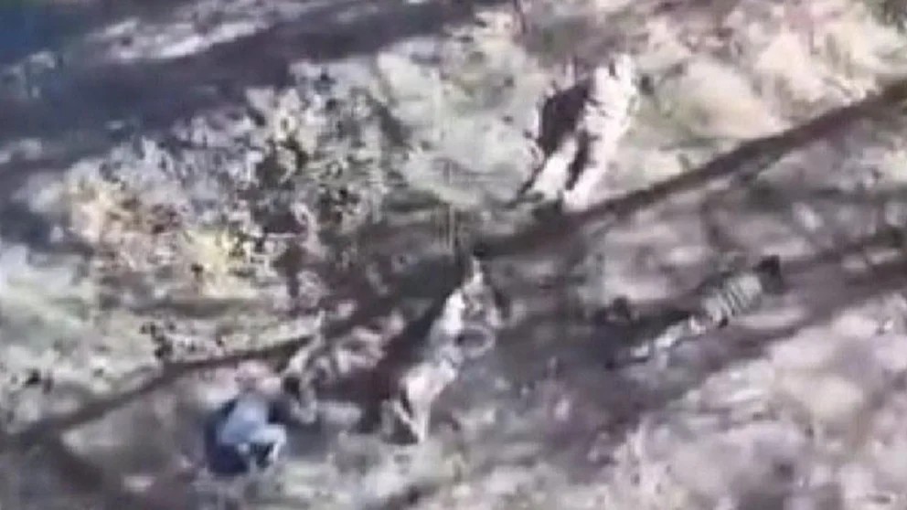 Russians execute five Ukrainian POWs