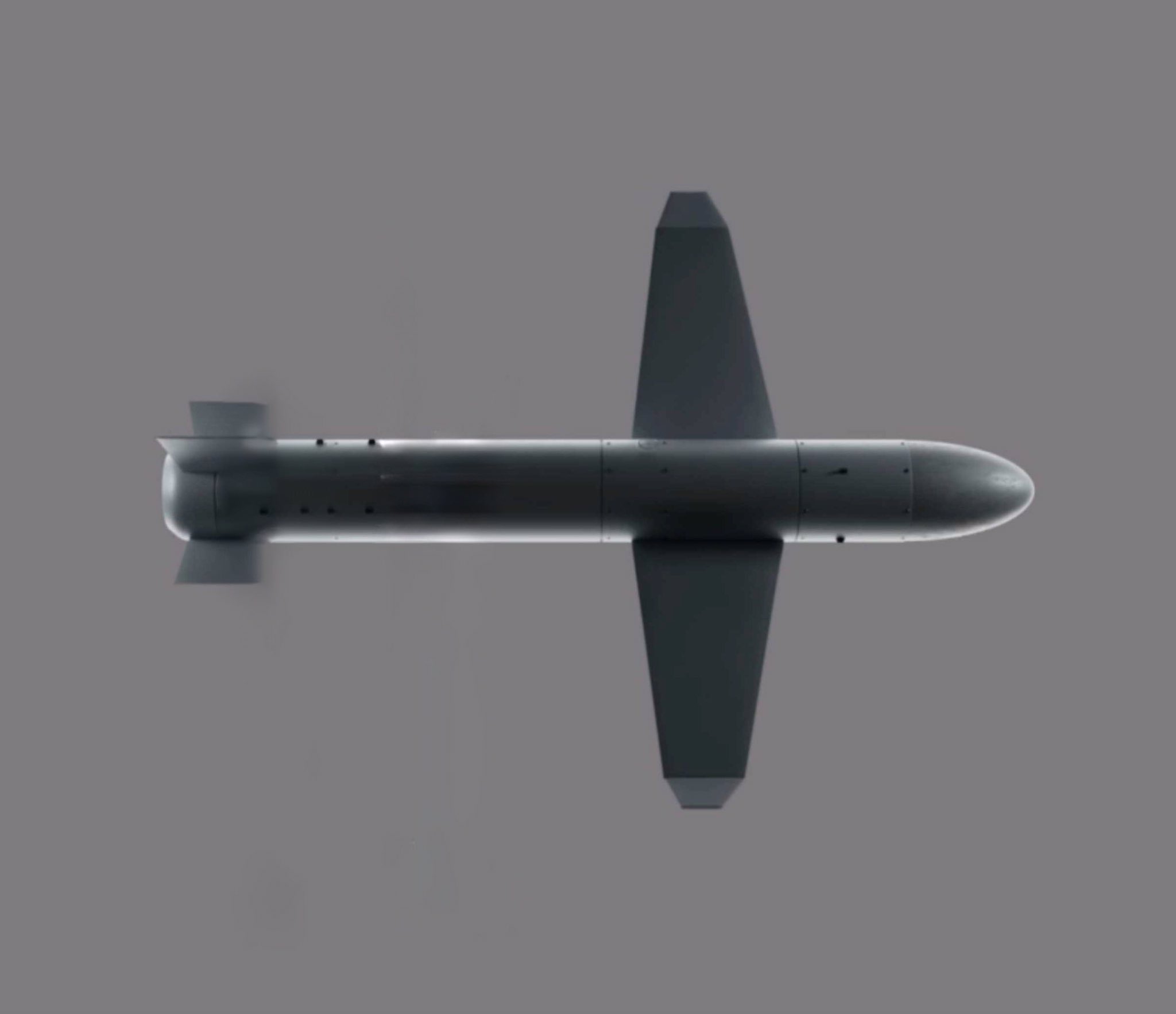 Palyanytsia drone-missile: $1M Ukrainian weapon to change strikes