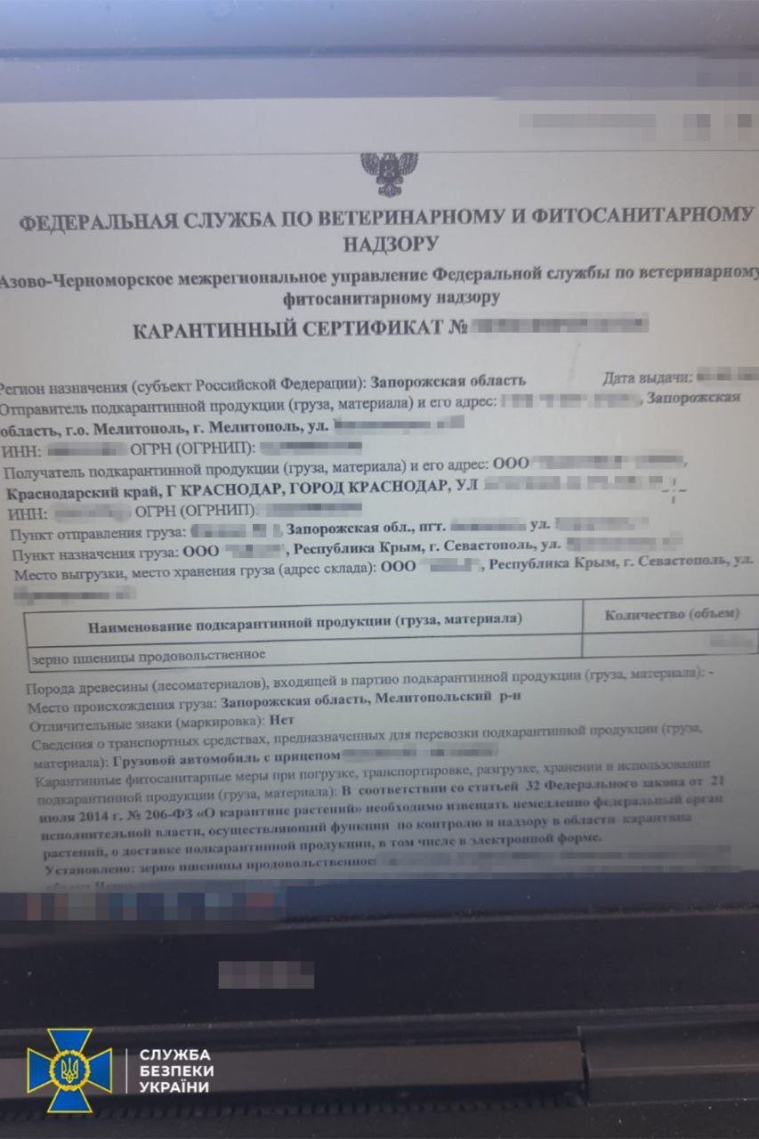 Russian shadow fleet vessel detained with looted Ukrainian grain