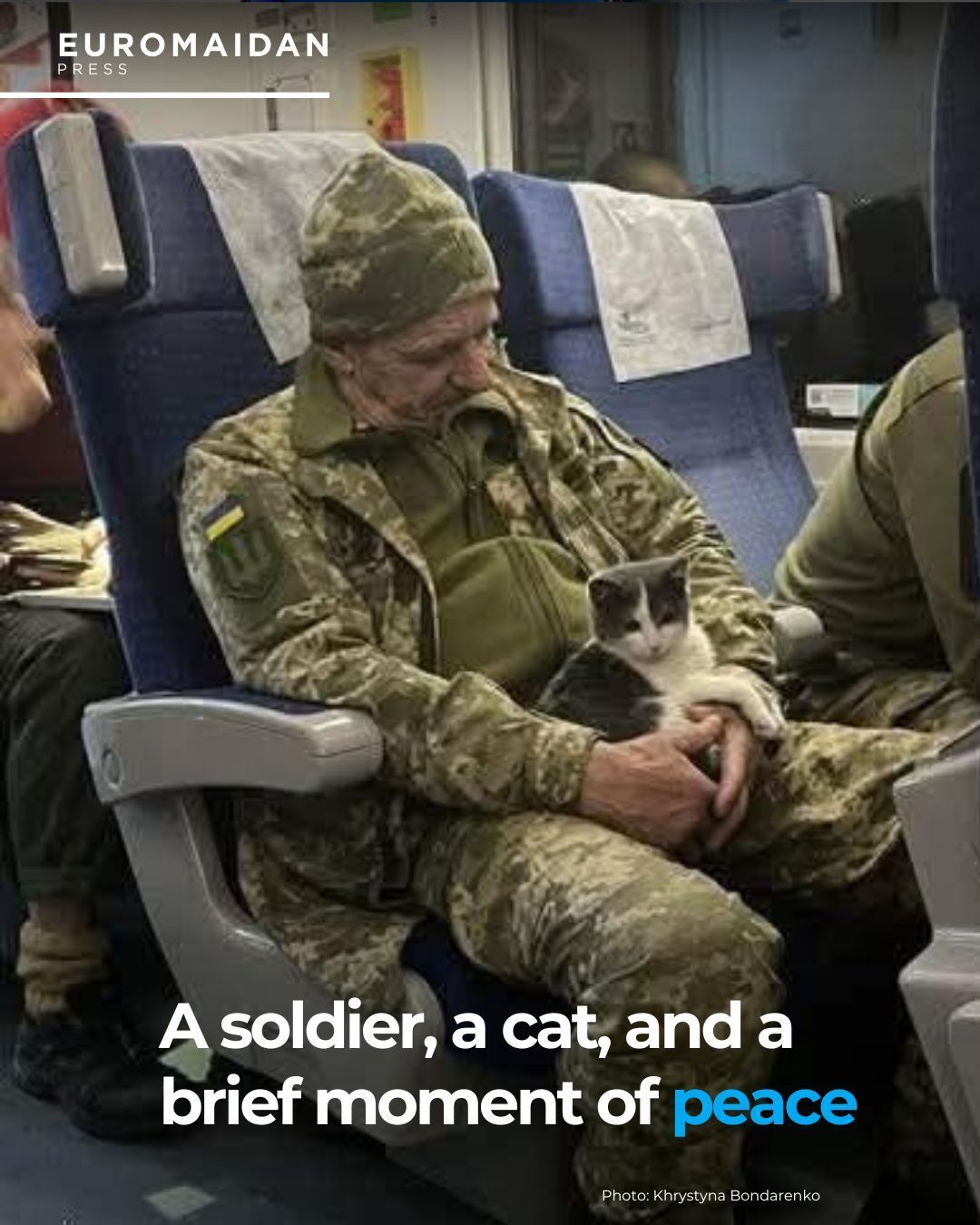 Soldier takes cat by train to Kramatorsk
