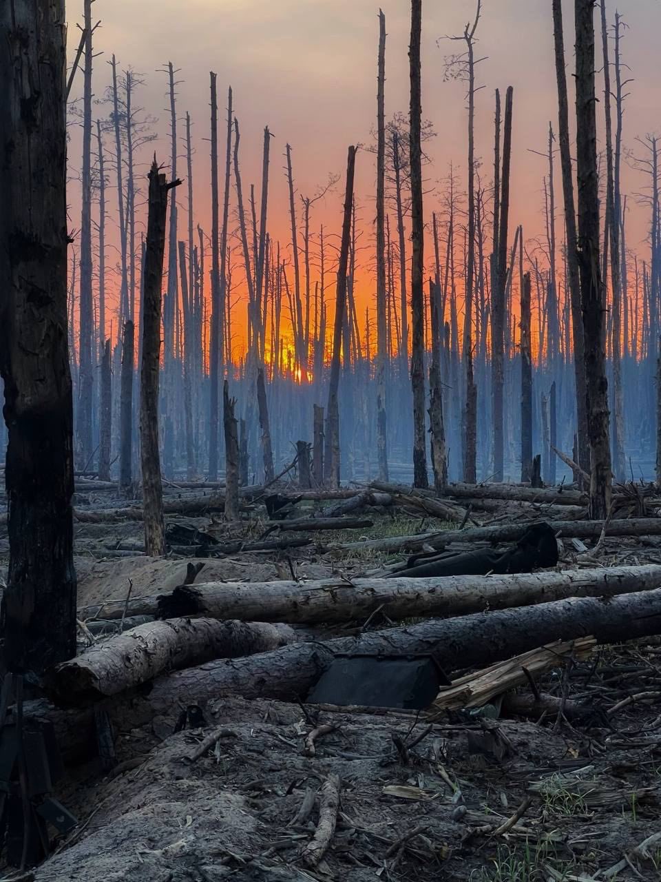 Dawn in Serebryan Forestry through eyes of a Bureva fighter