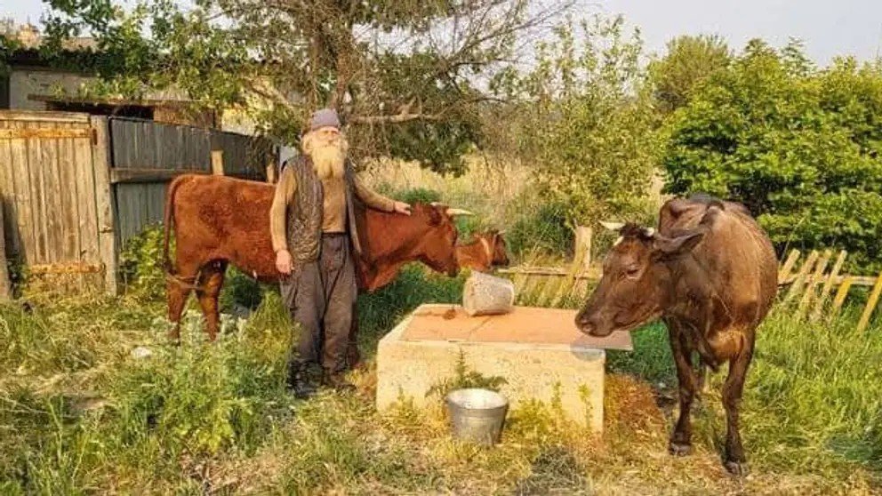 Activists help evacuate elderly man with cows