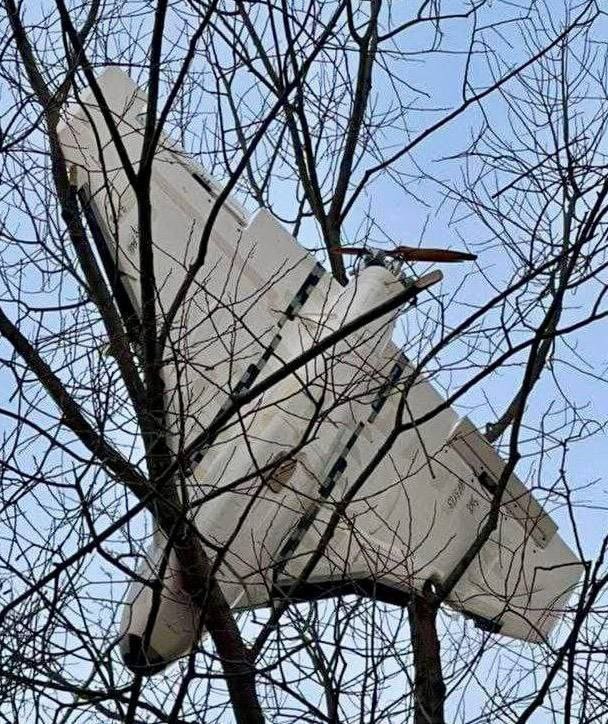 Russian decoy UAV Gerbera tangled in tree by Ukrainian EW