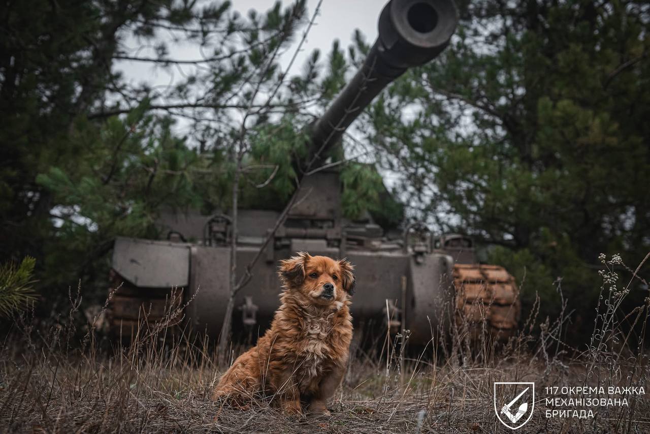 A furry gunner in AS-90 crew
