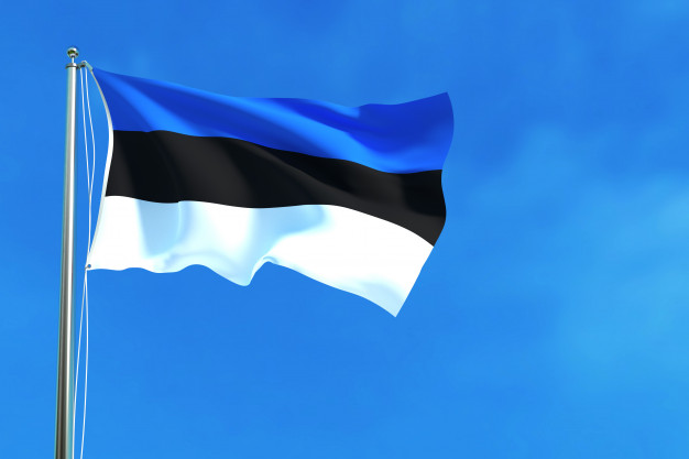 Estonian court jailed three for buying drones for Russian army